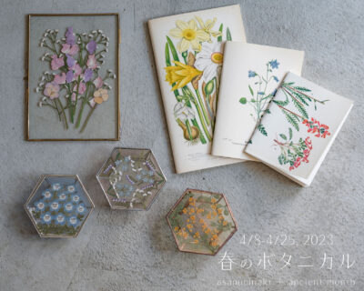 春のボタニカル asanochiaki + Ancient Month 4/8-4/25, 2023【TOKYO FANTASTIC 201】