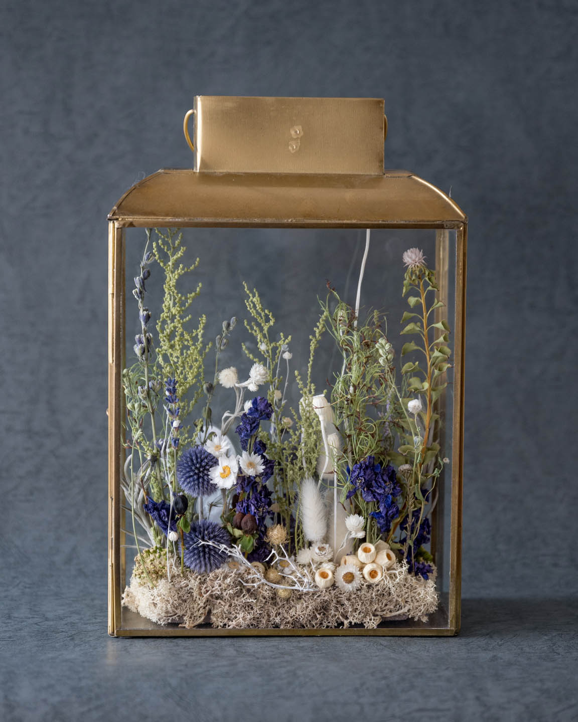 寒色系・ドライフラワーテラリウム 「ランタンフラワー」 dried flower lantern terrarium 正面