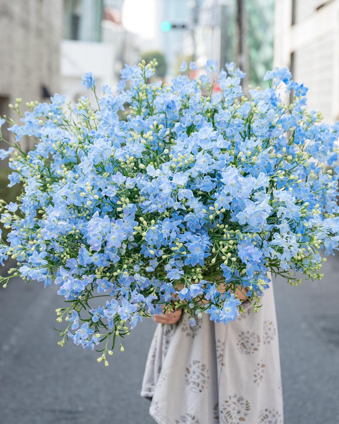 貴重な青い花、デルフィニウム。 表参道植物屋 by TOKYO FANTASTIC