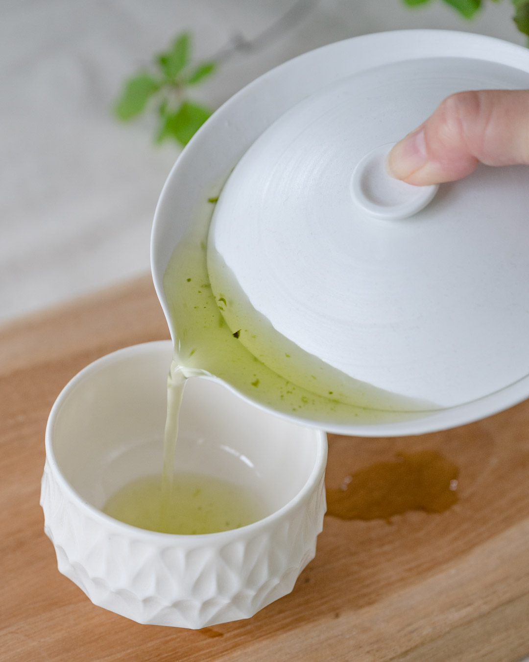 Japanese Green Tea - 2023 New Tea, Shizuoka Sencha is in stock!