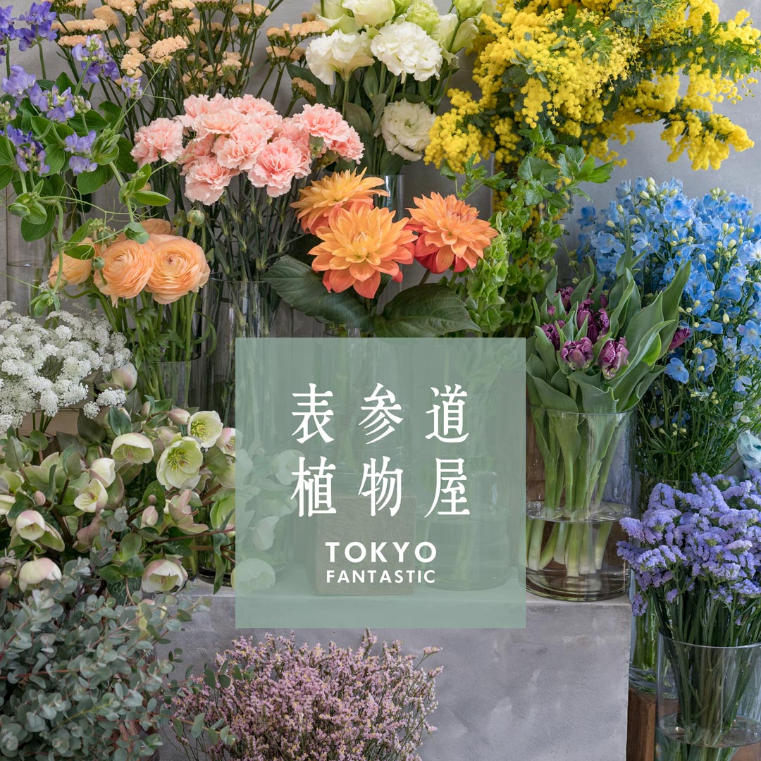 表参道植物屋 by TOKYO FANTASTIC