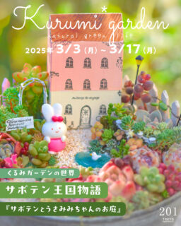 くるみガーデンの世界「サボテン王国物語」 〜サボテンとうさみみちゃんのお庭〜 3/3-3/17,2025